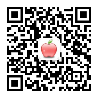 bob网络版